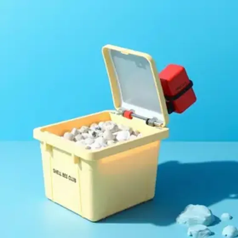 Como saber se um resgate no Shell Box Clube está caro ou barato para iniciantes