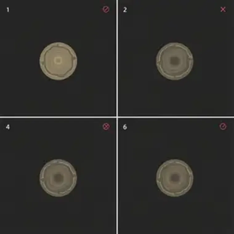 Como calcular o valor dos pontos do Esfera passo a passo