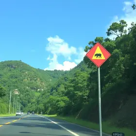 KMV / Km de Vantagens Ipiranga: resgate de passagem, produto ou desconto passo a passo