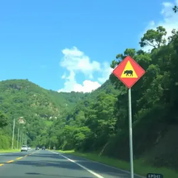 KMV / Km de Vantagens Ipiranga: resgate de passagem, produto ou desconto passo a passo