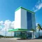 Como consultar saldo no Petrobras Premmia para iniciantes