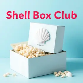 Shell Box Clube: resgate de passagem, produto ou desconto para iniciantes