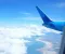 Vale a pena usar Azul Fidelidade para viajar para Maceió?