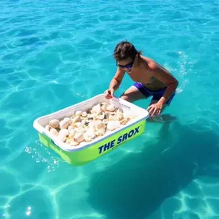 Shell Box Clube: pontos stix — como aproveitar melhor para iniciantes