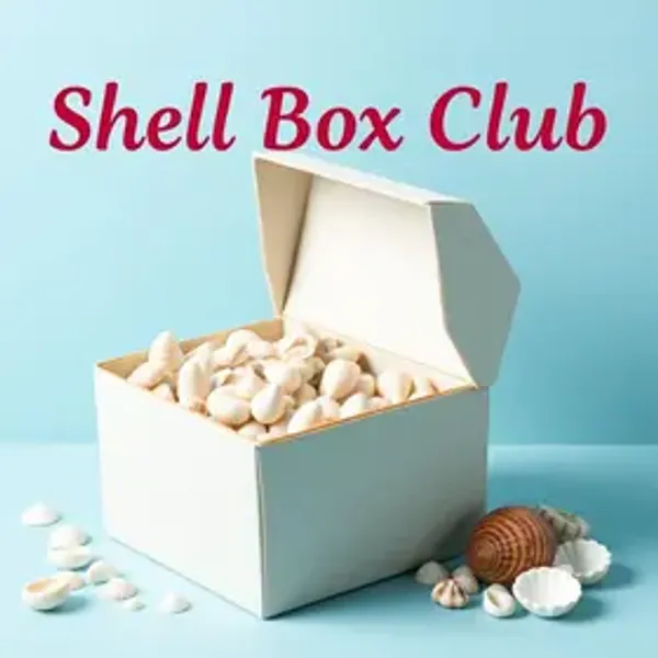 Como montar uma estratégia mensal com o Shell Box Clube passo a passo