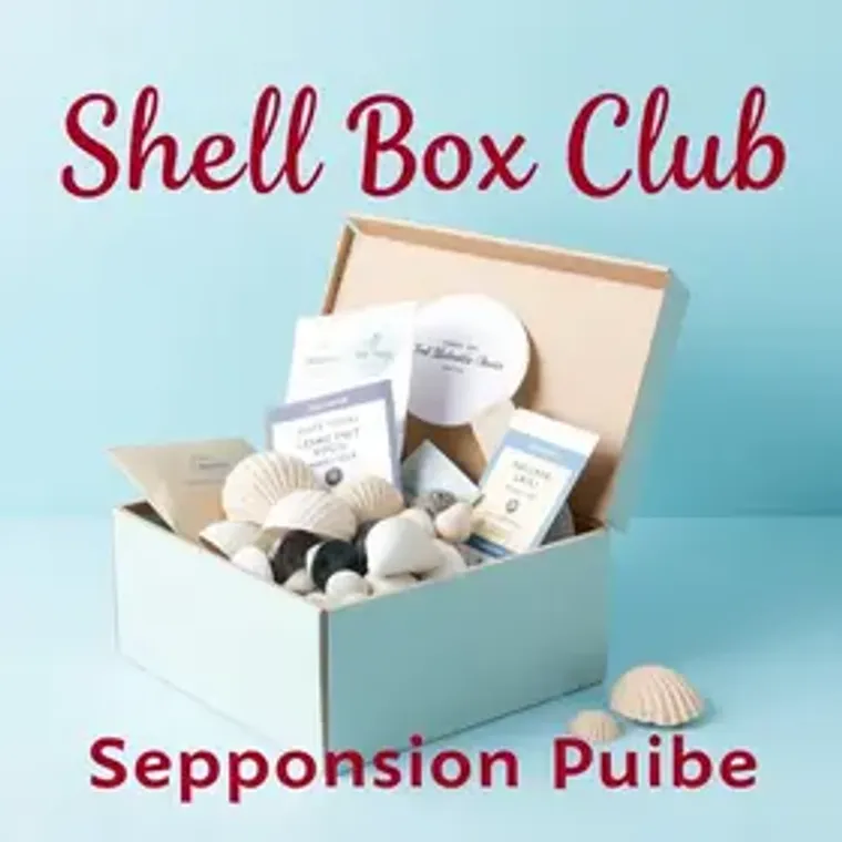 O que analisar antes de assinar clube ou plano do Shell Box Clube para iniciantes