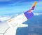 Como emitir passagem para Brasília com pontos do Smiles (GOL)