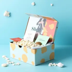 Shell Box Clube: principais dúvidas respondidas para iniciantes