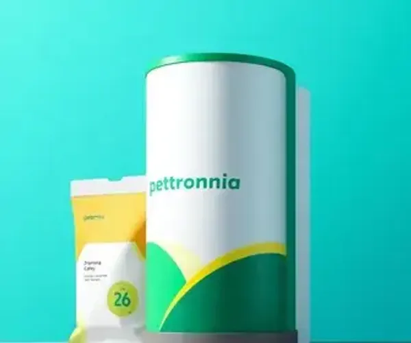Como juntar mais pontos no Petrobras Premmia sem aumentar gastos passo a passo