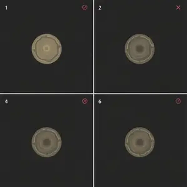 Como calcular o valor dos pontos do Esfera passo a passo
