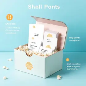 Shell Box Clube e pontos stix: como funciona a validade dos pontos passo a passo