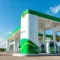 Petrobras Premmia e Postos Petrobras para famílias: como organizar pontos para iniciantes